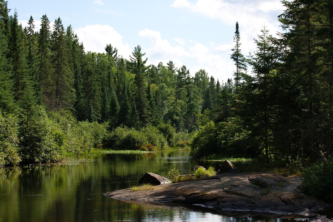 Ontario algonquin provincial park, madawaska river, ontario, canada, ontario, ontario, ontario, ontario, ontario
